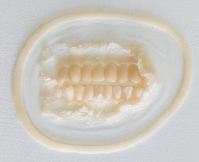 Unpainted Silicone Prosthetic Exposed Teeth