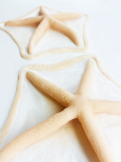 Set of 2 Unpainted Silicone Prosthetic Starfish