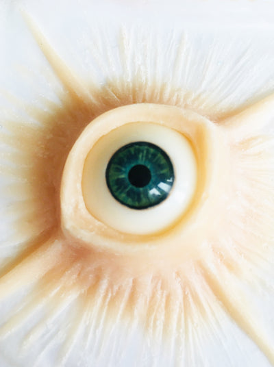 Gods Eye Silicone Prosthetic with choice of eye colour