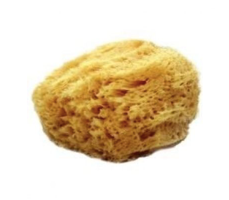 Mehron -  Natural Sea Sponge
