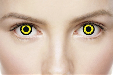 Wolf Coloured Contacts