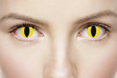 Wildcat Coloured Contacts