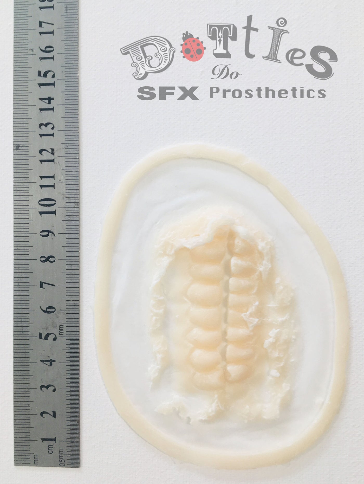 Unpainted Silicone Prosthetic Exposed Teeth