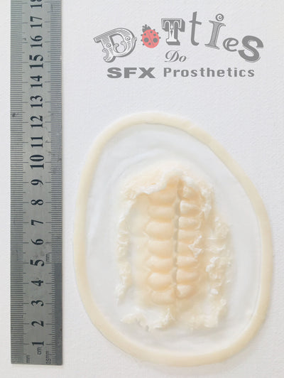 Unpainted Silicone Prosthetic Exposed Teeth