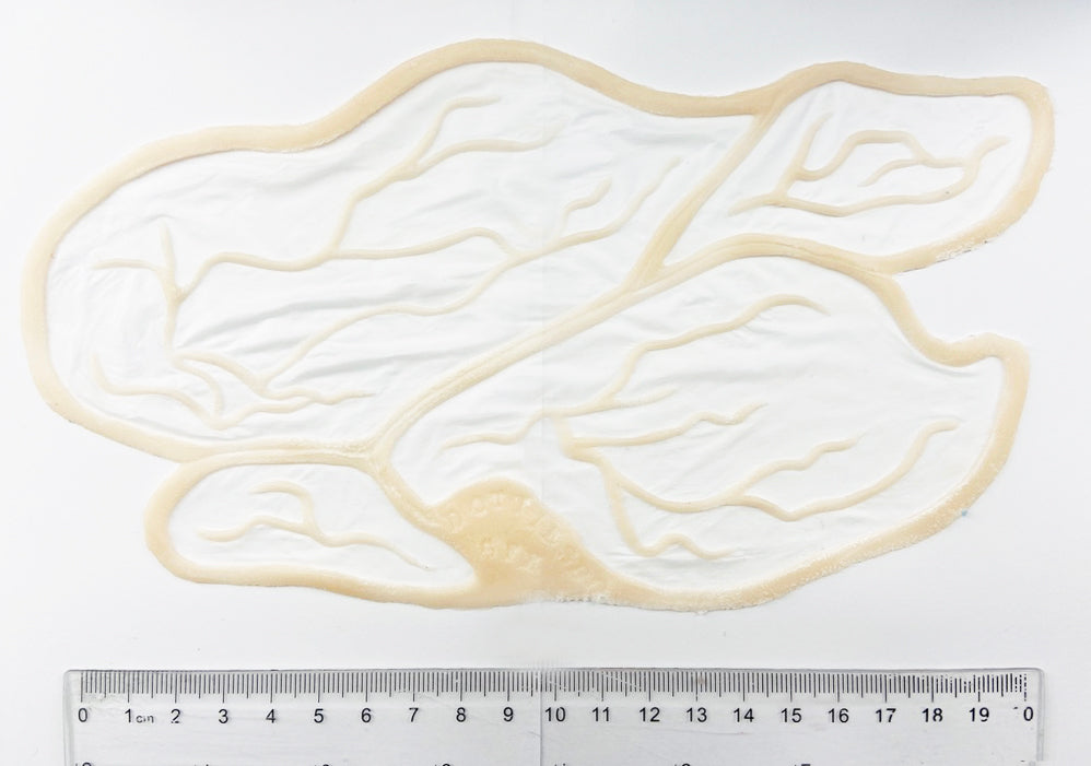 4 pieces Unpainted Silicone Prosthetic, veins